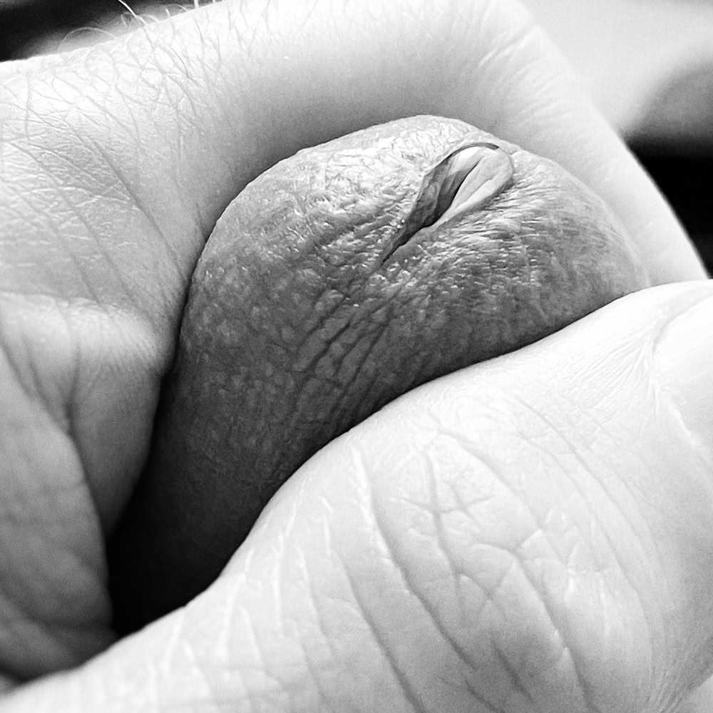 Drop of precum coming out of urethra