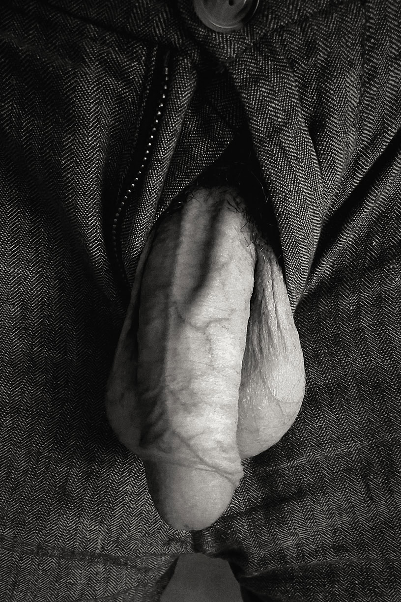 Veiny penis and testicles coming out of open fly